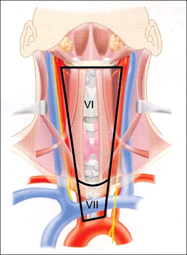 anterior cervical lymph nodes