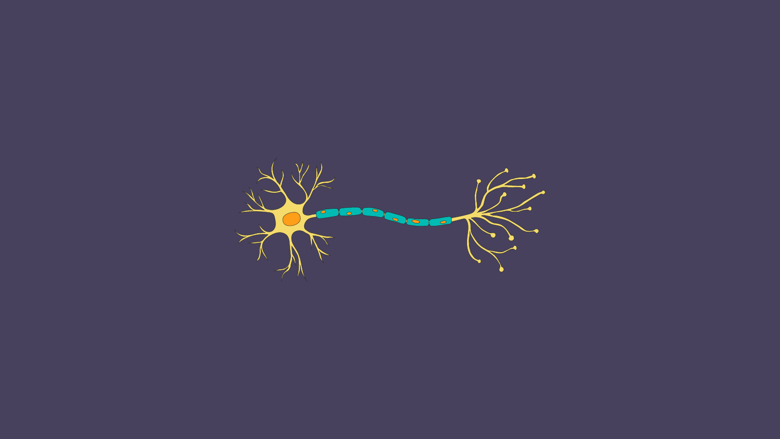 Nerve Injury