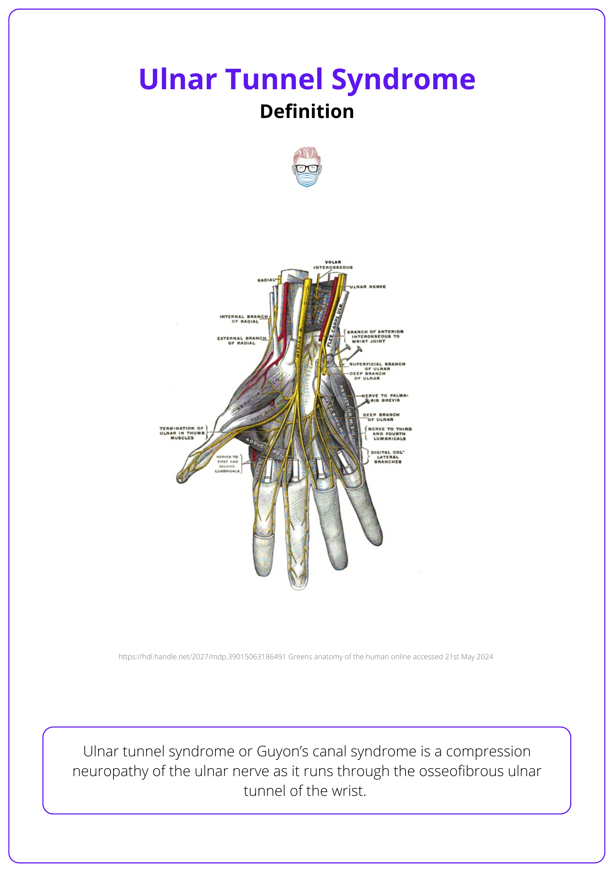Anatomy of the ulnar nerve through Guyon’s canal.
