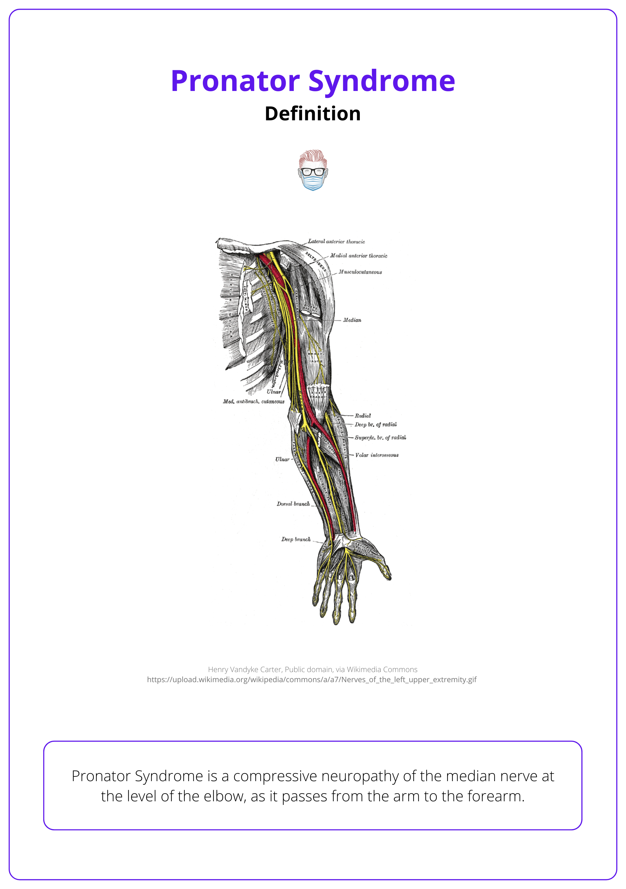Median nerve, Upper limb, neuropathy