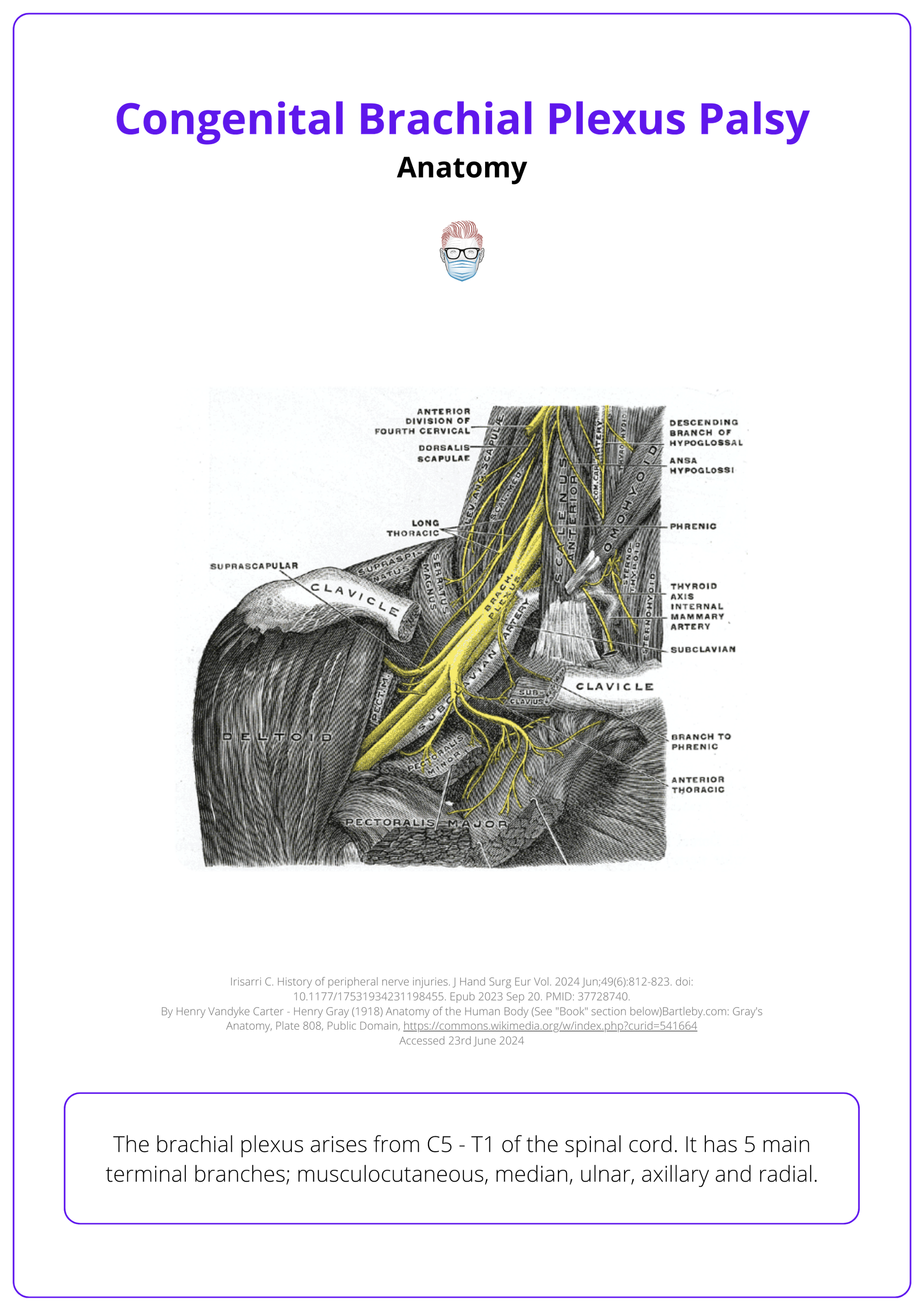 Anatomy of the brachial plexus, Congenital brachial plexus palsy