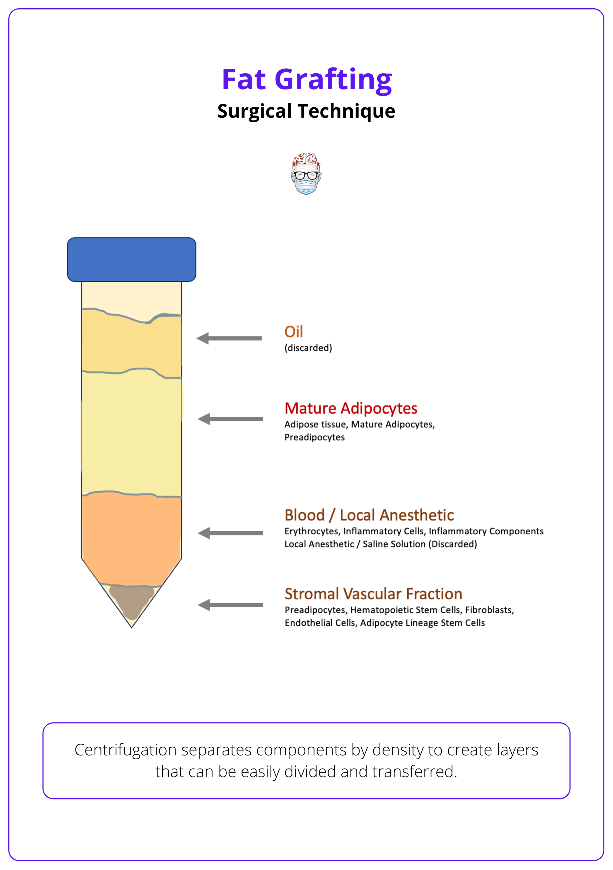 Components of centrifuged fat graft