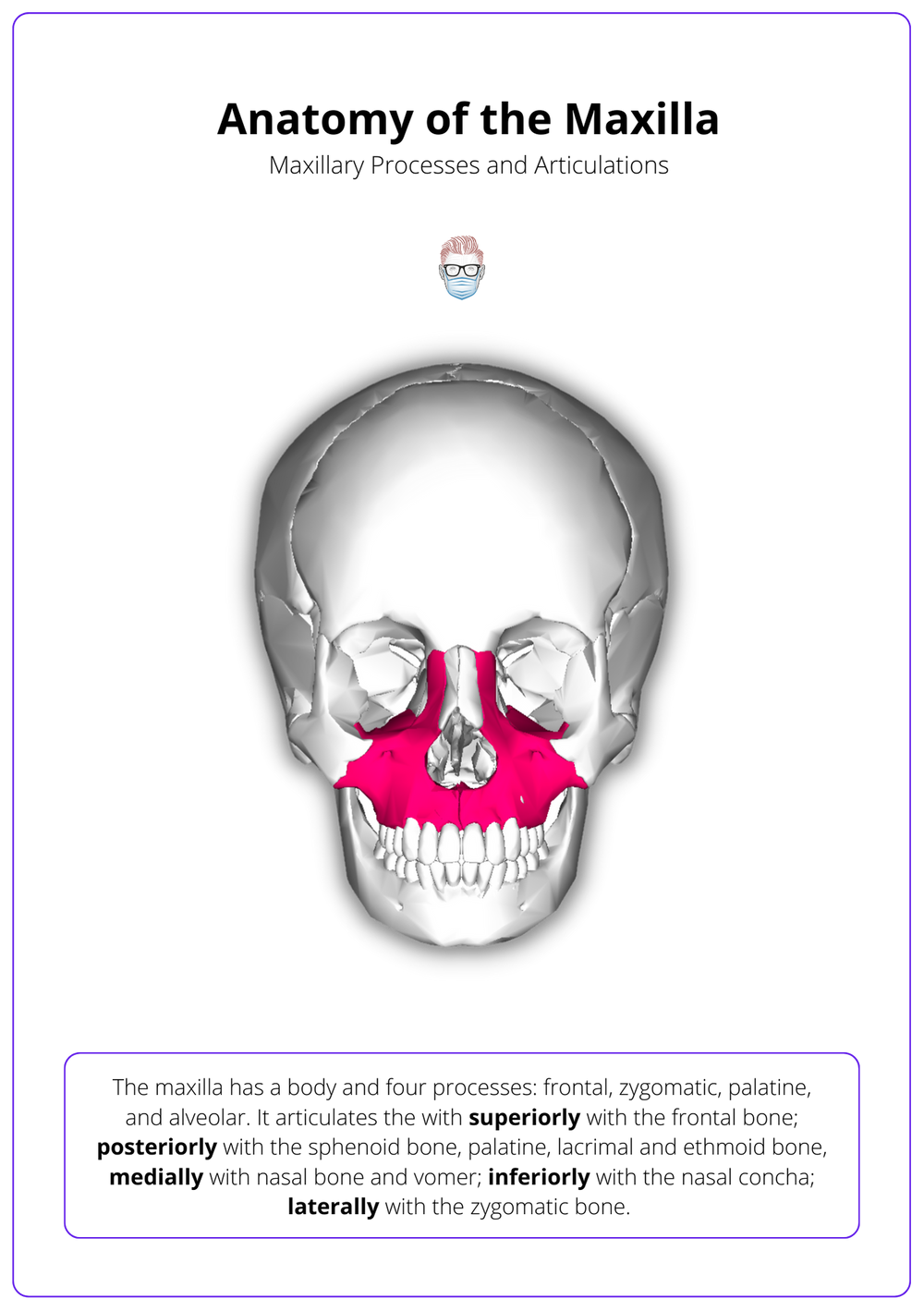 Maxillary Reconstruction: Anatomy, Classifications, and Algorithms