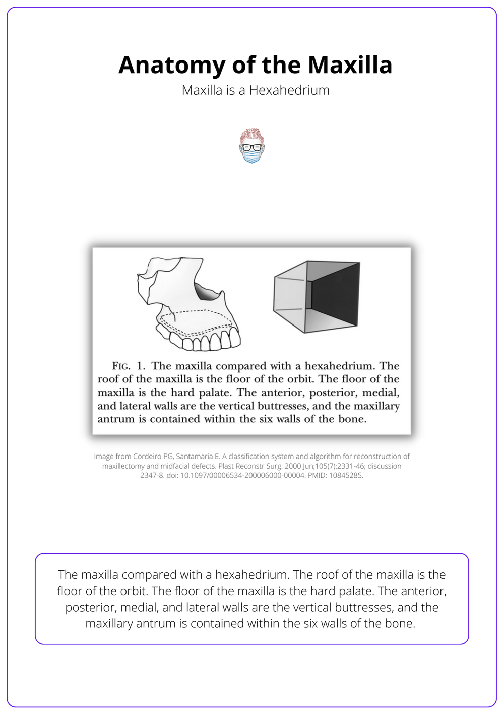 Maxillary Reconstruction: Anatomy, Classifications, And Algorithms