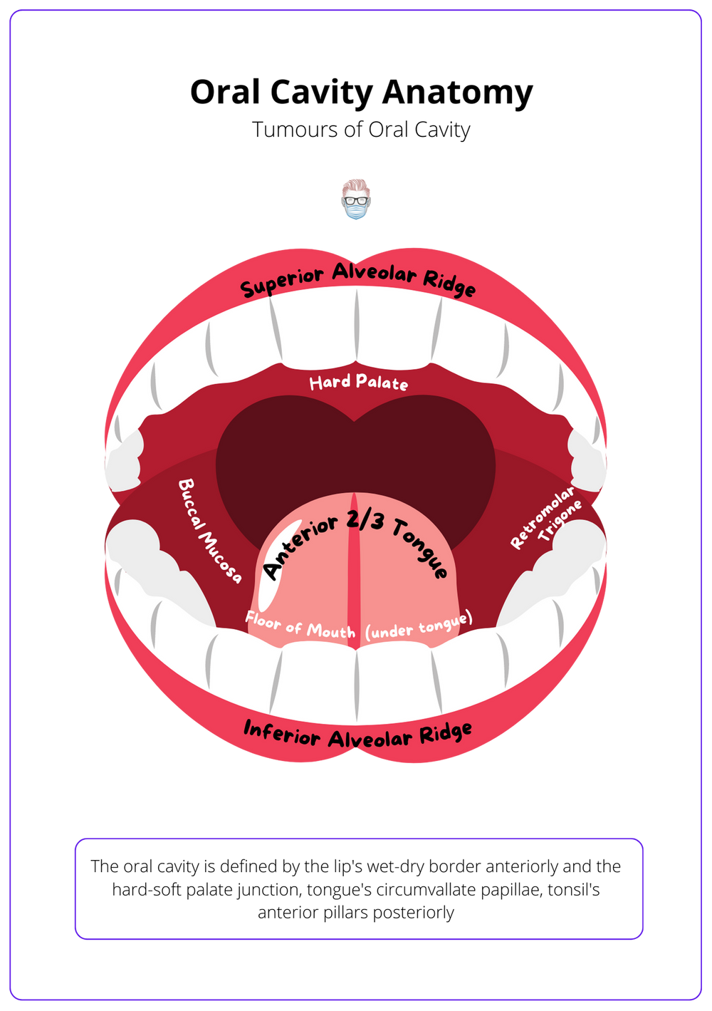 oral-cavity-tumours-types-staging-treatment-anatomy