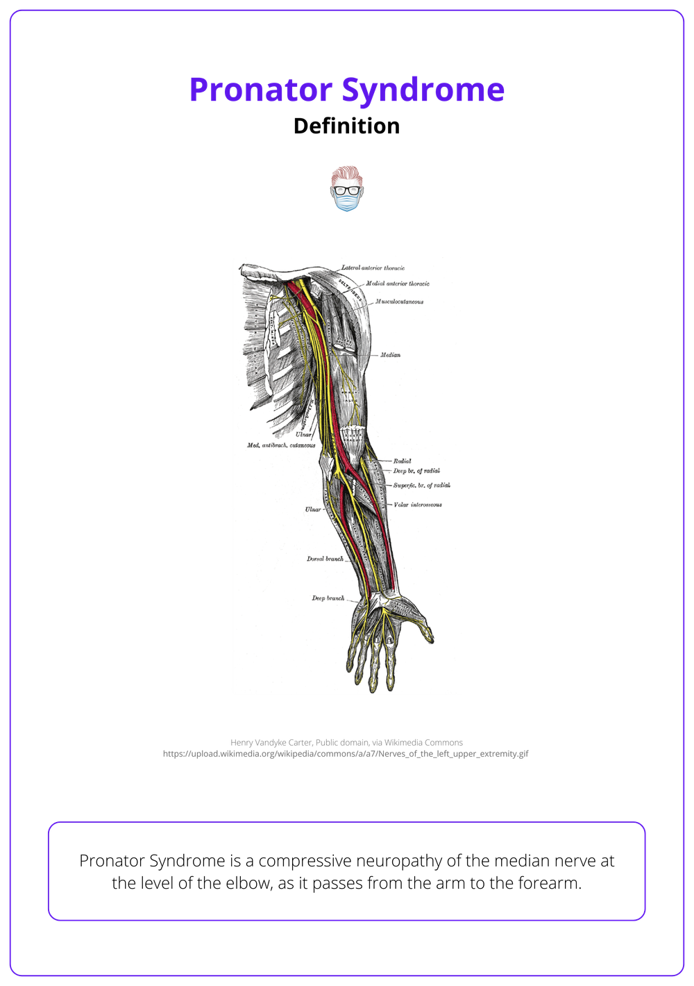 Pronator Syndrome: Anatomy, Clinical Features, & Management